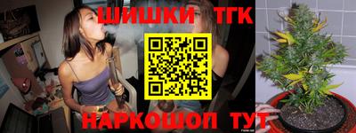 apvp Партизанск